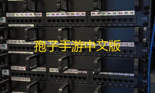 绝地求生科技外挂插件站孢子手游中文版