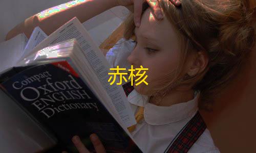 暗区突围GM直装赤核